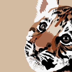 Tijger tekening